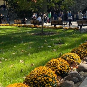 Meet your Posher, Alexandra